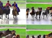 河北坝上草原旅游攻略 [完整版]