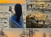 2025大理最全攻略：十大必去景点，解锁新玩法！