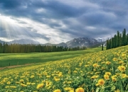 8月不热旅游城市大盘点：这些地方让你清爽一夏