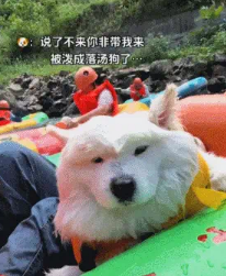 250824144125.png