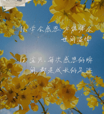50826101916.png